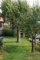 Click for larger size