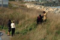 Click for larger size