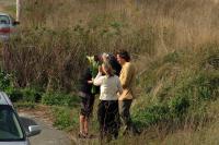 Click for larger size