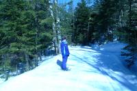 Click for larger size