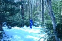 Click for larger size