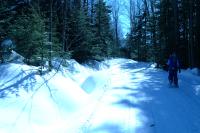 Click for larger size